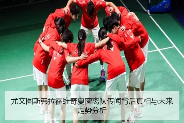 尤文图斯弗拉霍维奇夏窗离队传闻背后真相与未来走势分析